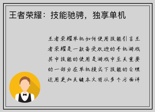 王者荣耀：技能驰骋，独享单机
